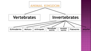 Vertebrates Invertebrates
JellyfishFlatworms
Annelid
worms
Nematode
wormsArthropodsMolluscsEchinoderms
 