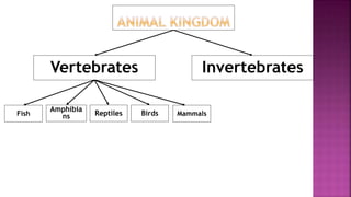 Vertebrates Invertebrates
BirdsReptiles
Amphibia
ns MammalsFish
 