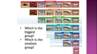 • Which is the
biggest
group?
• Which is the
smallest
group?
 