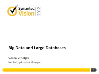 1
Big Data and Large Databases
Vesna Vrdoljak
NetBackup Product Manager
 