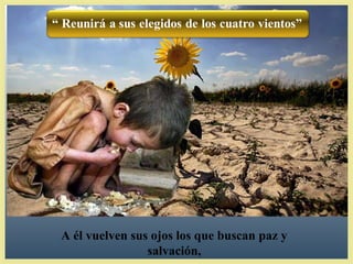 A él vuelven sus ojos los que buscan paz y
                salvación,
 