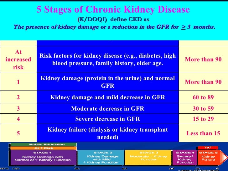33 ellabban care of the kidney during daily