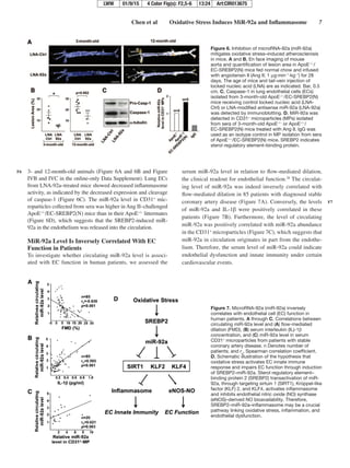 CIRCULATIONAHA2014013675 | PDF | Heart and Cardiovascular Diseases ...