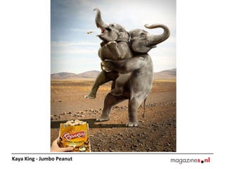 Kaya King - Jumbo Peanut 
