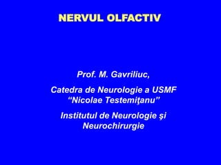 NERVUL OLFACTIV




      Prof. M. Gavriliuc,
Catedra de Neurologie a USMF
    “Nicolae Testemiţanu”
  Institutul de Neurologie şi
        Neurochirurgie
 