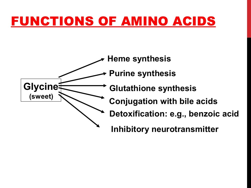 33 lec aminoacid peptide biological importance