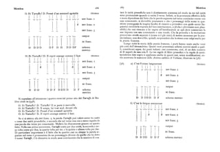 Linguaggio - Enciclopedia einaudi [1982]