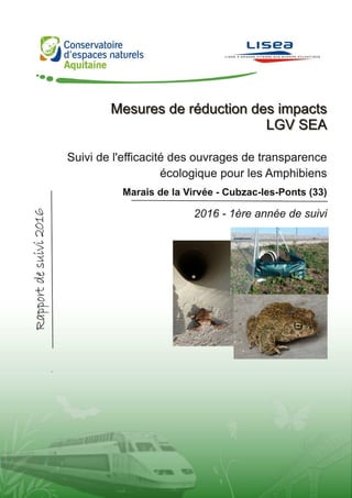 Suivi de la réduction pour les amphibiens sur la LGV SEA – Transparence amphibiens / LISEA
Conservatoire d’espaces naturels d’Aquitaine - 1
 