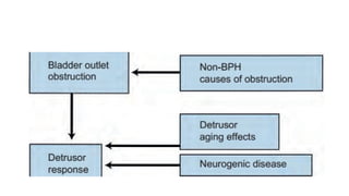 Urinary Obstruction Algorithm 33 MANAGEMENT OF LOWER URINARY TRACT OBSTRUCTION.pptx