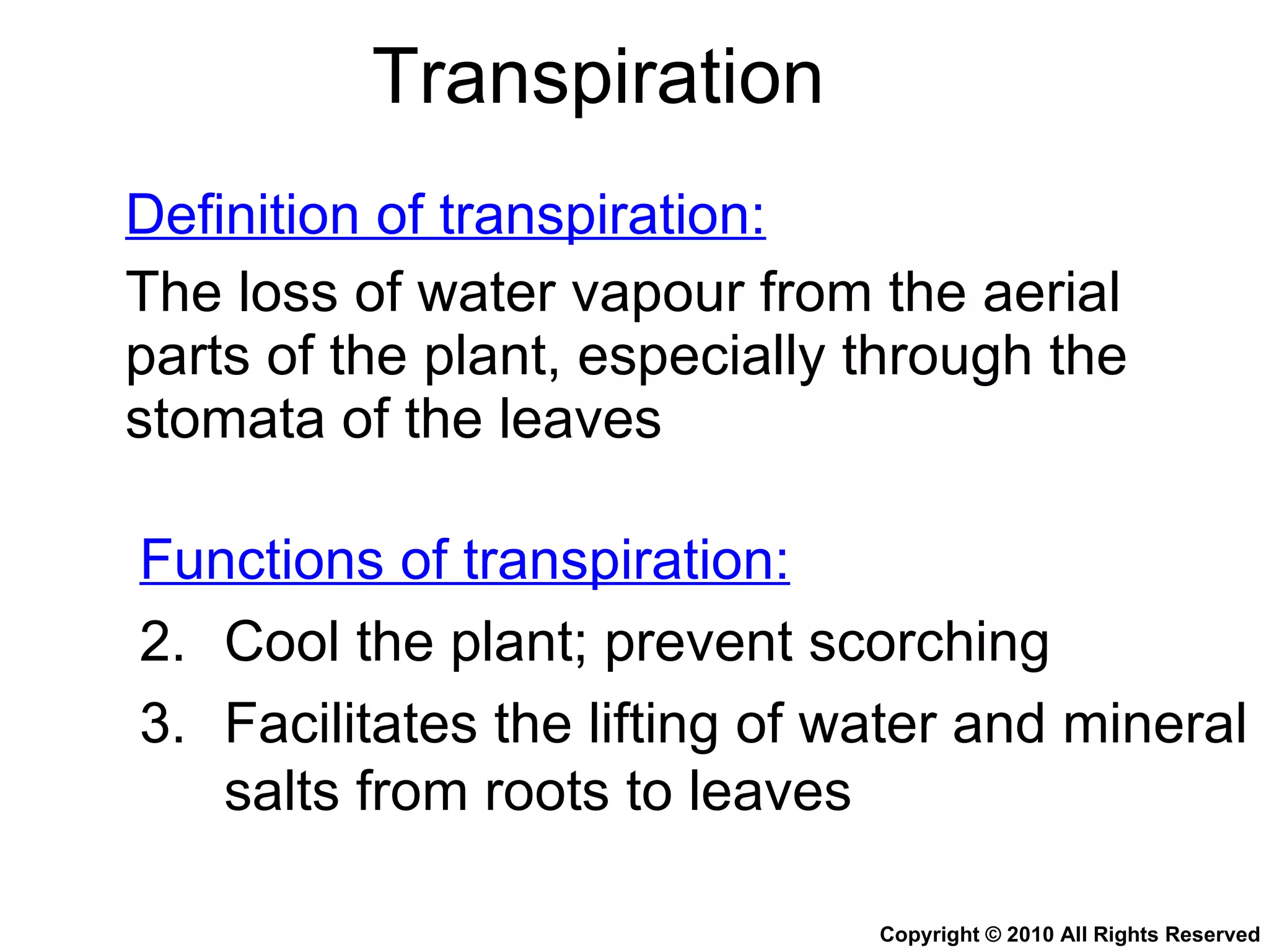 Chapter 9 Transport in Plants Lesson 3 - The 3 mechanisms in water ...