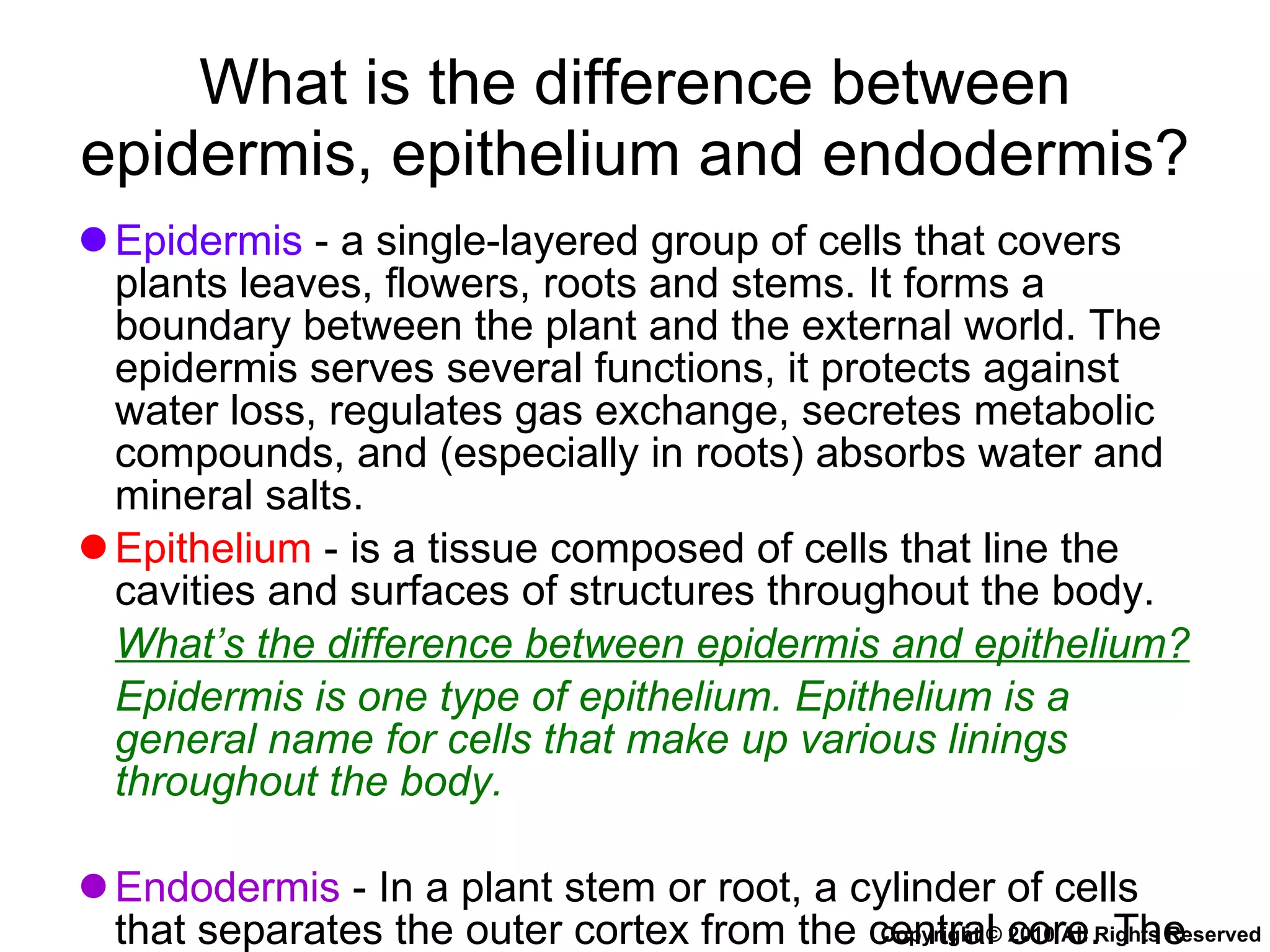Chapter 9 Transport in Plants Lesson 3 - The 3 mechanisms in water ...