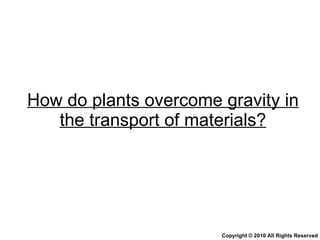 How do plants overcome gravity in the transport of materials? Copyright © 2010 All Rights Reserved 