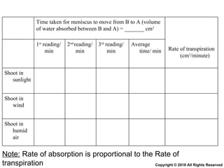 Chapter 9 Transport in Plants Lesson 3 - The 3 mechanisms in water ...