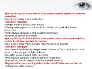 Apa terjadi kepada kadar tindak balas enzim ,apabila kepekatan substrat
bertambah
Kadar tindak balas enzim bertambah
Terangkan mengapa
Bilangan molekul substrat bertambah
Peluang perlanggaran antara molekul substrat dan tapak aktif enzim
bertambah
Pembentukan kompleks enzim substrat bertambah
Penghasilan produk bertambah
Apa terjadi kepada kadar tindak balas enzim selepas mencapai maksima,
apabila kepekatan substrat bertambah
Kadar tindak balas enzim menjadi malar/tetap/tidak berubah
Terangkan mengapa
Semua enzim telah terikat dengan molekul substrat/Tapak aktif enzim telah
penuh terikat dengan molekul substrat
Kepekatan enzim menjadi faktor penghad
Pembentukan kompleks enzim substrat menjadi malar
Penghasilan produk menjadi malar/tetap/tidak berubah
Bagaimanakah cara meningkatkan kadar tindak balas semasa fasa ini
Tambah kepekatan substrat
 