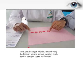 Terdapat bilangan molekul enzim yang
berlebihan kerana semua substrat telah
terikat dengan tapak aktif enzim
 