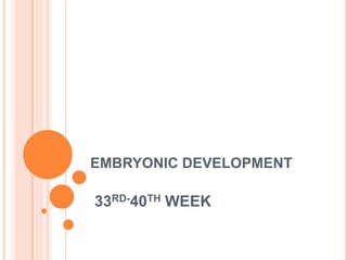 EMBRYONIC DEVELOPMENT
33RD-40TH WEEK
 