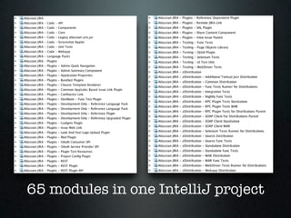 65 modules in one IntelliJ project
 