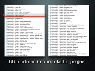 65 modules in one IntelliJ project
 