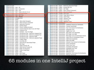 65 modules in one IntelliJ project
 