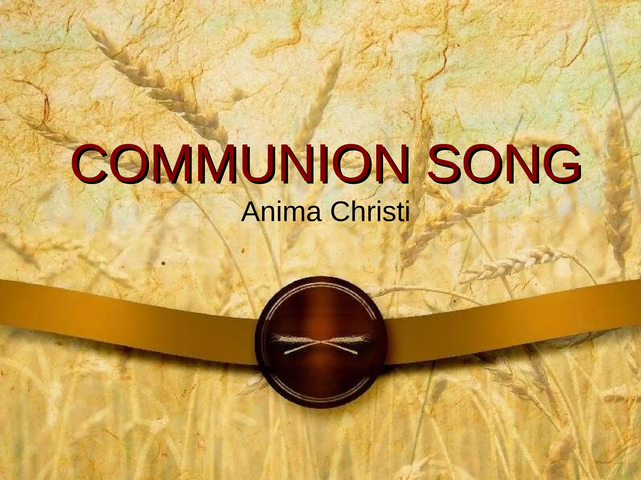 COMMUNION SONG Anima Christi 