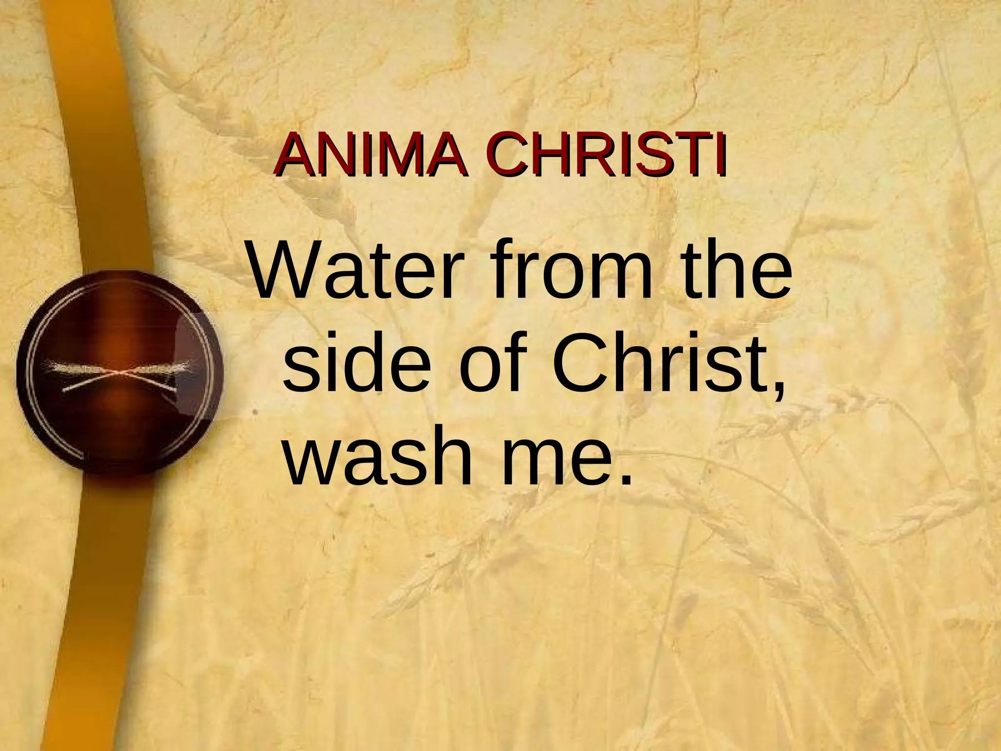 ANIMA CHRISTI Water from the side of Christ, wash me. 