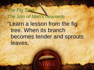 The Fig Tree:  The Son of Man’s nearness "Learn a lesson from the fig tree. When its branch becomes tender and sprouts leaves,   