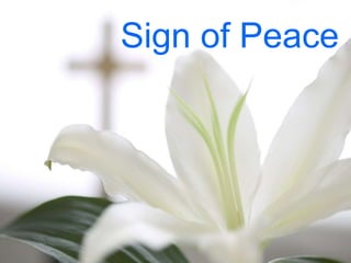 Sign of Peace 
 