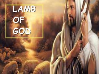 LAMB 
OF 
GOD 
 