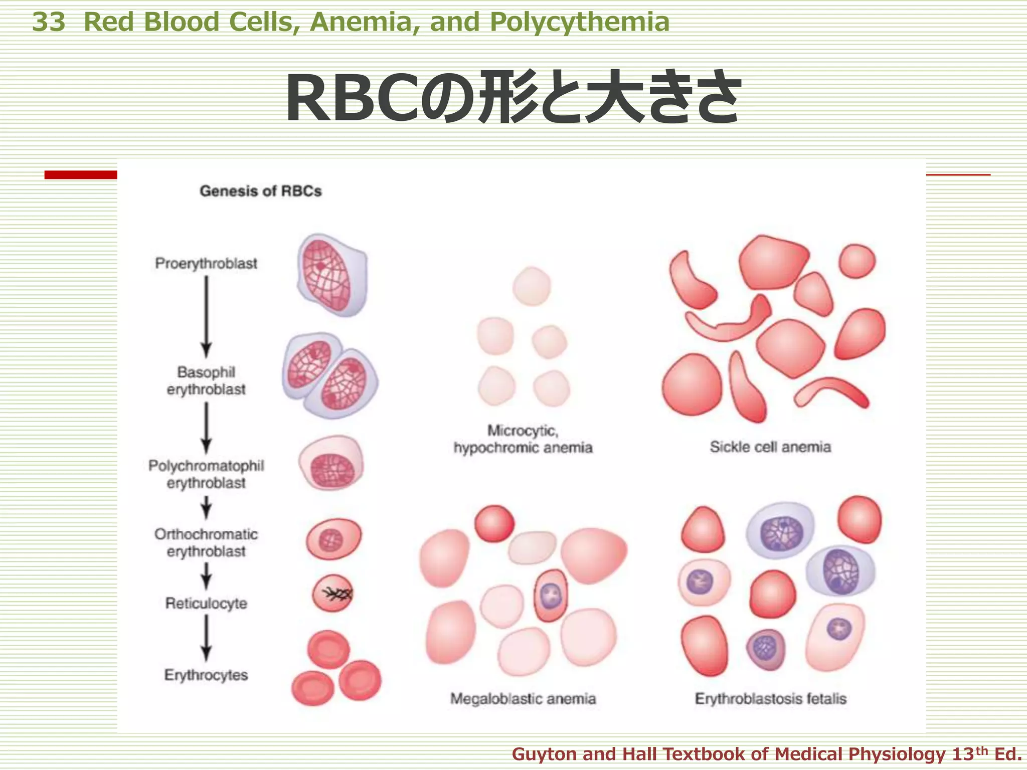 33 red blood cells, anemia, and polycythemia | PPTX
