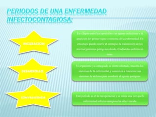 INCUBACION 
Es el lapso entre la exposición y un agente infeccioso y la 
aparición del primer signo o síntoma de la enfermedad. En 
esta etapa puede ocurrir el contagio; la transmisión de los 
microorganismos patógenos desde el individuo enfermo al 
sano. 
DESARROLLO 
El organismo ya contagiado se siente afectado, muestra los 
síntomas de la enfermedad y comienza a funcionar sus 
sistemas de defensa para combatir al agente patógeno 
CONVALECENCIA Este periodo es el de recuperación y se inicia una vez que la 
enfermedad infectocontagiosa ha sido vencida. 
 
