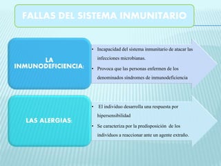 FALLAS DEL SISTEMA INMUNITARIO 
• Incapacidad del sistema inmunitario de atacar las 
infecciones microbianas. 
• Provoca que las personas enfermen de los 
denominados síndromes de inmunodeficiencia 
LA 
INMUNODEFICIENCIA: 
• El individuo desarrolla una respuesta por 
hipersensibilidad 
• Se caracteriza por la predisposición de los 
individuos a reaccionar ante un agente extraño. 
LAS ALERGIAS: 
 
