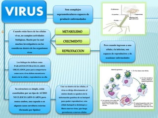 Son complejos 
supramoleculares capaces de 
producir enfermedades 
Cuando están fuera de las células 
vivas, no cumplen actividades 
biológicas. Razón por la cual 
muchos investigadores no los 
consideran dentro de los organismos 
vivos 
METABOLISMO 
CRECIMIENTO 
REPRODUCCION 
Pero cuando ingresan a una 
célula y la infectan, son 
capaces de reproducirse y de 
ocasionar enfermedades 
Los biólogos los definen como 
PARASITOS INTRACELULARES 
OBLIGADOS, pues para comportarse 
como seres vivos deben encontrarse 
dentro de la célula y reproducirse en ella 
Su estructura es simple, están 
constituidos por un tipo de ACIDO 
NUCLEICO (ADN O ARN) pero 
nunca ambos, una capsula o en 
algunos casos envoltura externa 
(formado por lipidos) 
Una vez dentro de las células, el 
virus se dirige directamente al 
núcleo donde se apodera de la 
información genética de su huésped 
para poder reproducirse; esta 
célula huésped se desintegra y 
libera nuevos virus, que luego 
parasitaran a nuevas células 
¿ 
 