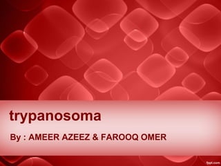 trypanosoma
By : AMEER AZEEZ & FAROOQ OMER
 