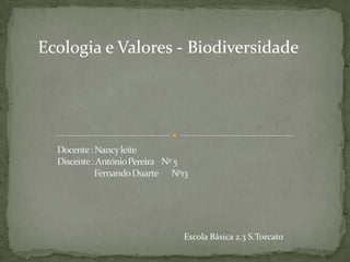 Ecologia e Valores - Biodiversidade




                   Escola Básica 2.3 S.Torcato
 