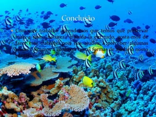  Com este trabalho aprendemos que temos que preservar
 mais a nossa natureza e ajuda-la em tudo, gosta-mos de
 fazer este trabalho pois nos ajudou a perceber algumas
 coisas e ficamos a conhecer novas formas de ajudar o nosso
 planeta.
 