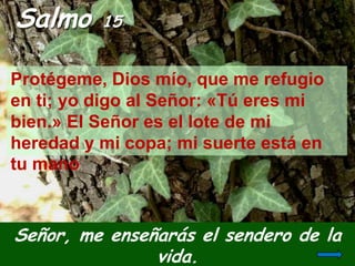 Salmo 15
Protégeme, Dios mío, que me refugio
en ti; yo digo al Señor: «Tú eres mi
bien.» El Señor es el lote de mi
heredad...