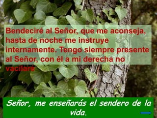 Señor, me enseñarás el sendero de la
vida.
Bendeciré al Señor, que me aconseja,
hasta de noche me instruye
internamente. T...
