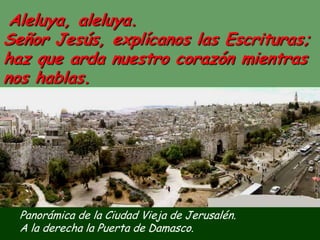 Panorámica de la Ciudad Vieja de Jerusalén.
A la derecha la Puerta de Damasco.
Aleluya, aleluya.
Señor Jesús, explícanos l...