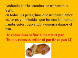 Andando por los caminos te tropezamos
Señor,
en todos los peregrinos que necesitan amor,
esclavos y oprimidos que buscan l...