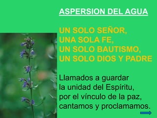 ASPERSION DEL AGUA
UN SOLO SEÑOR,
UNA SOLA FE,
UN SOLO BAUTISMO,
UN SOLO DIOS Y PADRE
Llamados a guardar
la unidad del Esp...