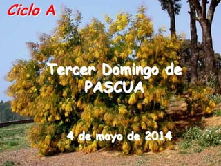 Ciclo A
Tercer Domingo de
PASCUA
4 de mayo de 2014
 