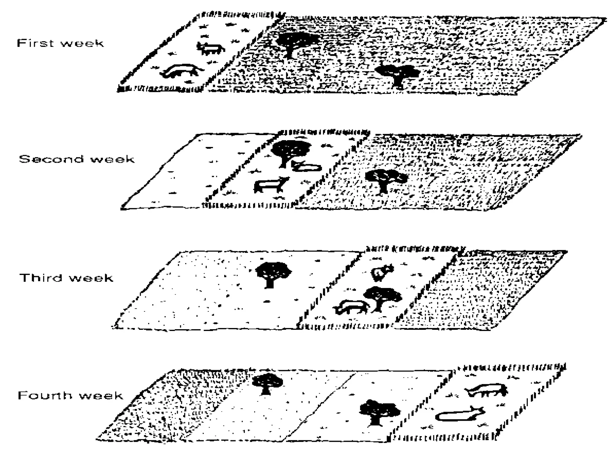 Rest Rotation Duration Grazing System Examples Grazing systems and Managment | PPTX