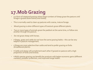 17.Mob Grazing
• is a form of rotational grazing where large numbers of sheep graze the pasture until
forage is grazed down evenly and closely.
• This is normally used to clean up pastures with coarse, mature forage.
• Mixed grazing is when different types of livestock graze different plants.
• Two or more types of animals graze the paddock at the same time, or follow one
another through the pasture.
• Do not graze sheep with horses.
• • Sheep, goats and cattle do not have the same grazing habits – this can be very
helpful in pasture management.
• • Sheep are more selective than cattle and tend to prefer grazing on forbs
(broadleaved plants).
• • Cattle and sheep will complement each other if grazed on pasture with a high
proportion of forbs and browse.
• • Multi-species grazing can benefit the producer with better economic gains (different
markets), predator protection, and improved range health.
 