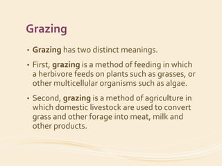 Grazing Systems And Managment PPT Grazing Systems And Managment 2 320 