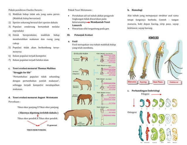 EVOLUSI (BIOLOGI SMA) | PDF