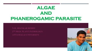 ALGAE
AND
PHANEROGAMIC PARASITE
N.H. SHANKAR REDDY
2ND PH.D. PLANT PATHOLOGY
ANNAMALAI UNIVERSITY
 