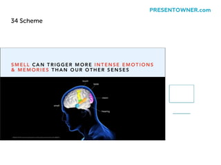 34 Scheme
PRESENTOWNER.com
 