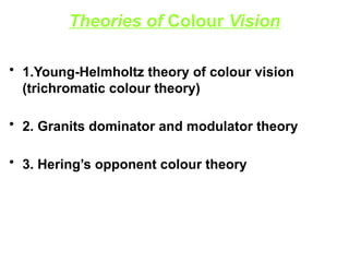 Introduction To Color Vision 34. Color vision Ophthalmology presentation.pptx