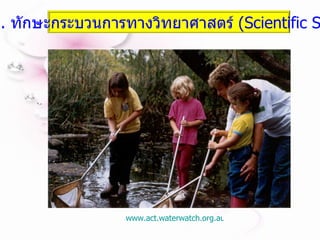 www.act.waterwatch.org.au/primary.htm   3.  ทักษะกระบวนการทางวิทยาศาสตร์   (Scientific Skill) 