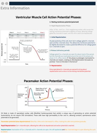 Antiarrhythmic drugs - class, side effects | PDF
